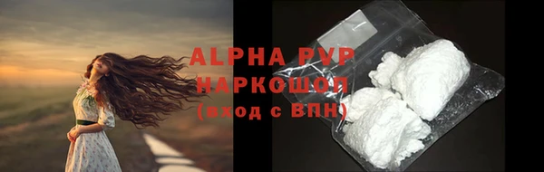 амф Новокубанск