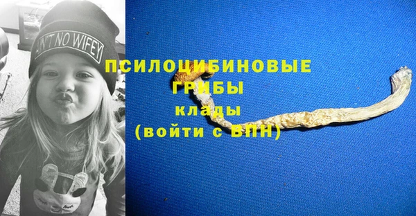 мескалин Няндома