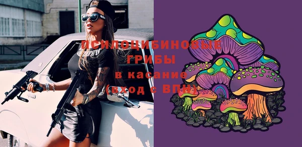марки nbome Новозыбков